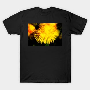 Dandelion blossom, abstract, macro shot, dandelion, flower T-Shirt